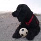 Ella y su pelota 